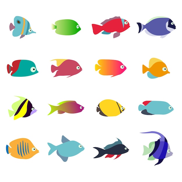 Free Vector aquarium fishes set isolated on white background collection of exotic fish