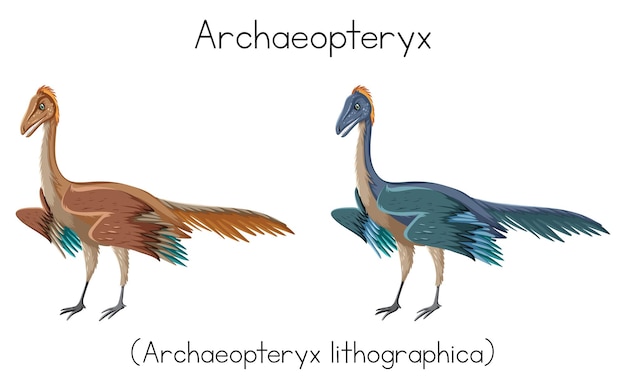 Archaeopteryx in two colors