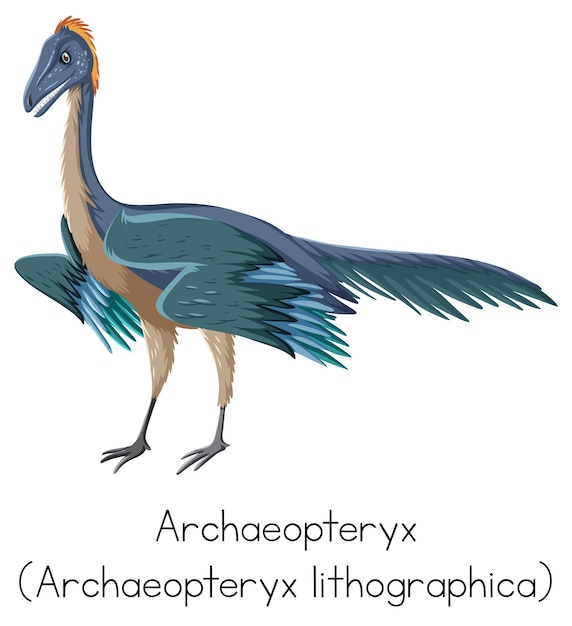 Archaeopteryx with word on white background