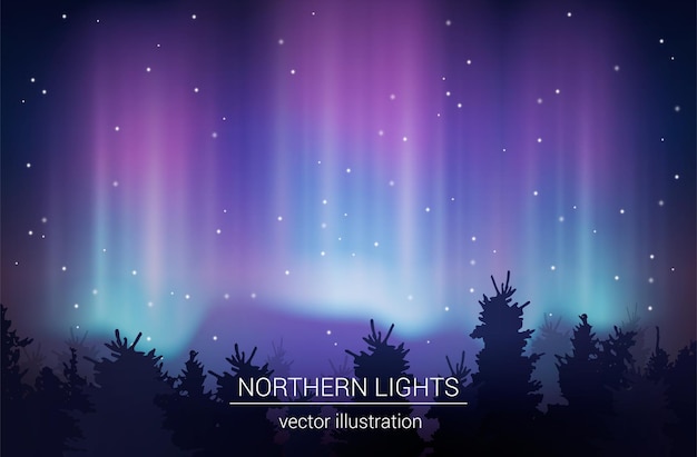 Arctic Borealis Realistic Vector Illustration