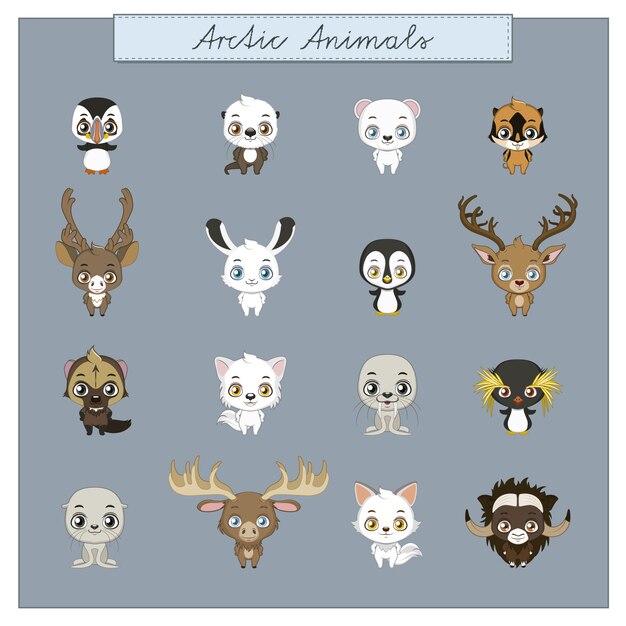 Artic animals collection