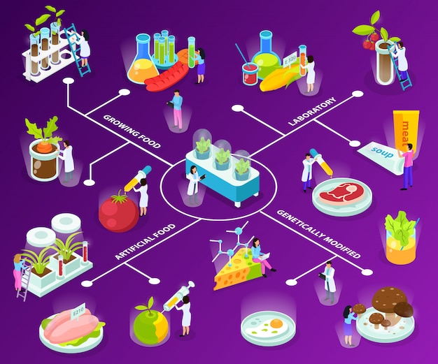 Free Vector artificial food isometric flowchart with scientists during experiments with eating ingredients on purple