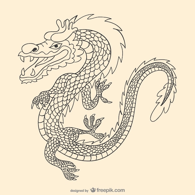 Free vector asiatic hand drawn dragon