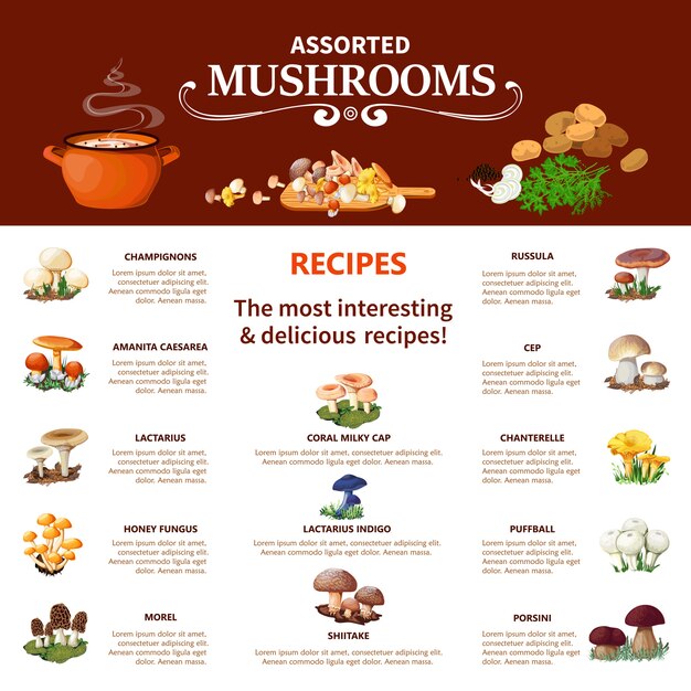 Assorted  Mushrooms Infographics