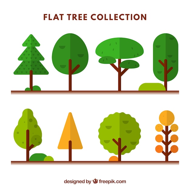 Assortment of beautiful trees in flat design