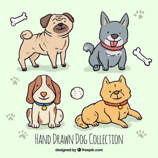 Assortment of four hand-drawn dogs