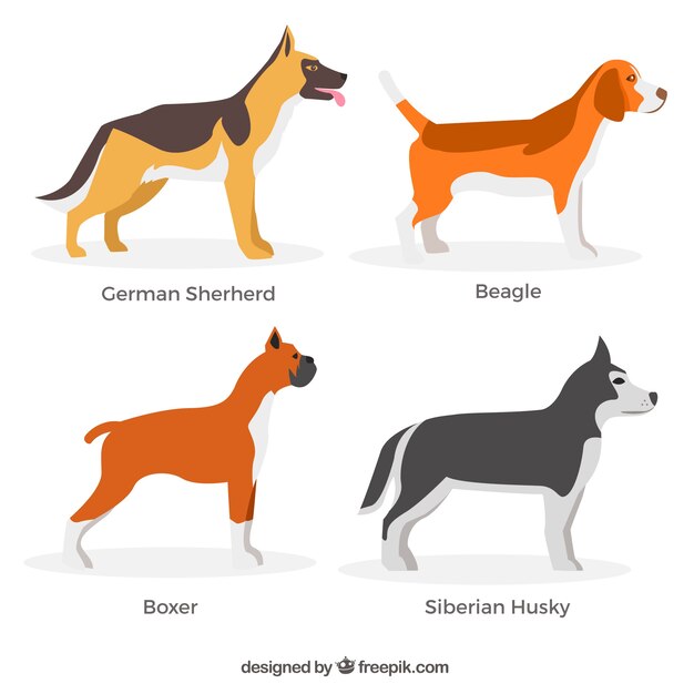 Assortment of four profile dogs