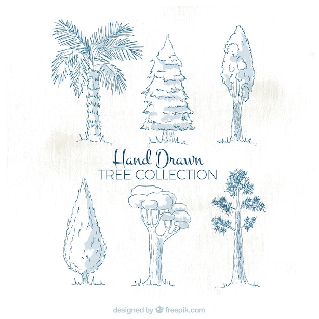 Free vector assortment of hand-drawn trees