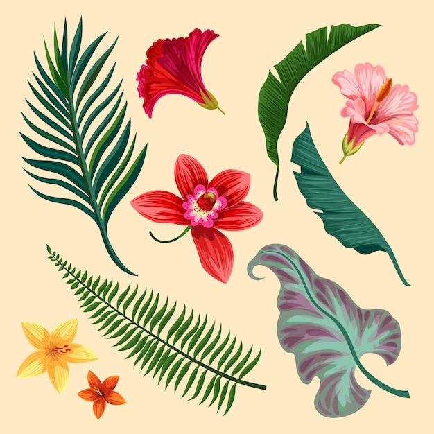 Assortment of tropical flowers and leaves