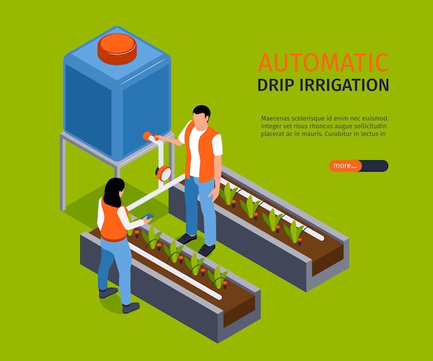 Free vector automatic drip irrigation banner depicting watering system for seedlings isometric vector illustration