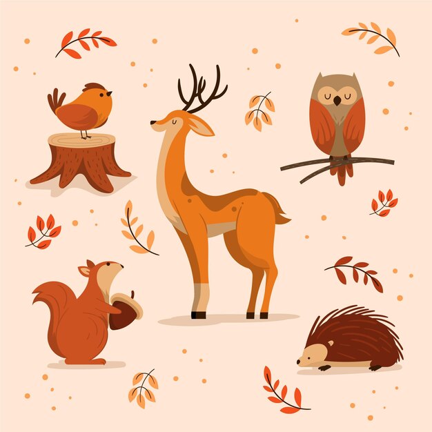 Autumn animals collection