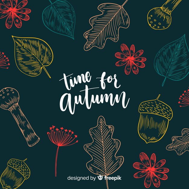 Autumn background with colorful leaves