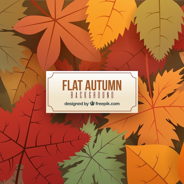 Free Vector autumn background with colorful leaves