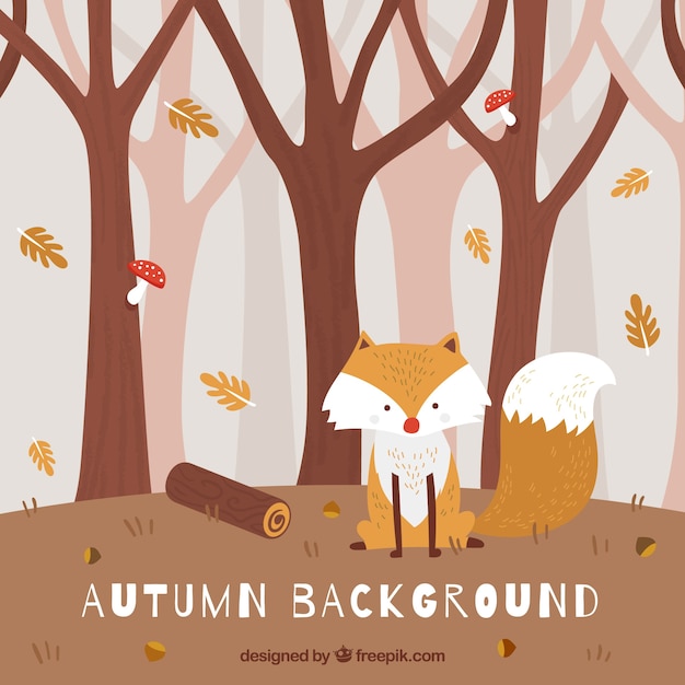 Autumn background with cute fox in the forest