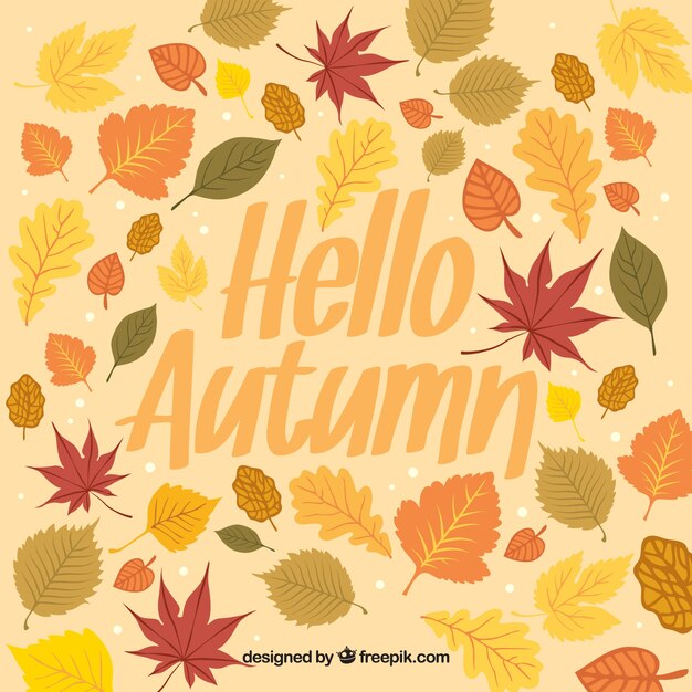 Autumn background with different leaves