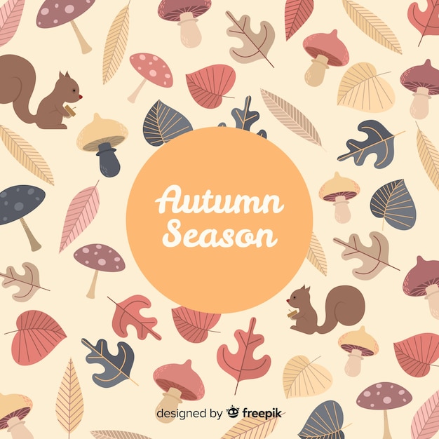 Autumn background with different leaves