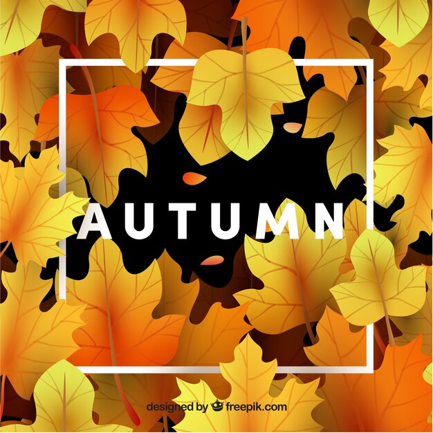 Autumn background with different leaves