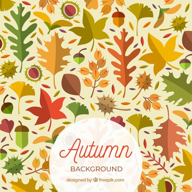 Autumn background with flat leaves