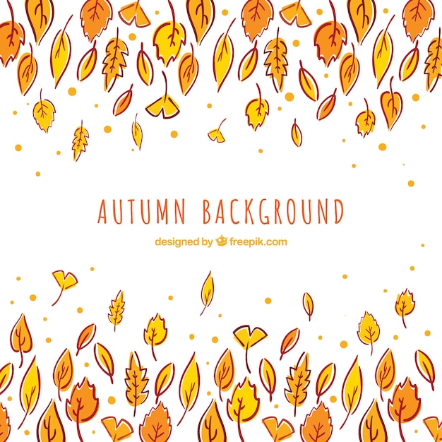 Autumn background with hand drawn leaves