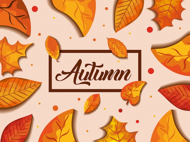 Autumn background with leaves decoration