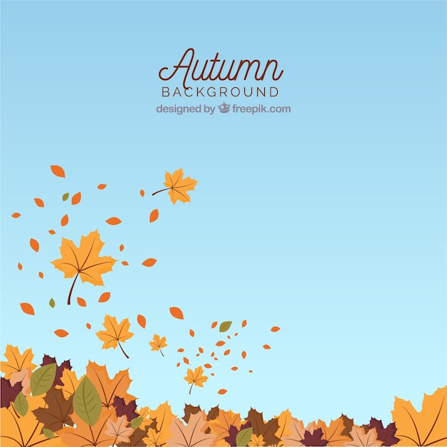 Autumn background with leaves and sky