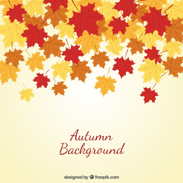 Autumn background with leaves