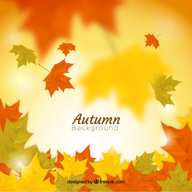 Autumn background with realistic leaves