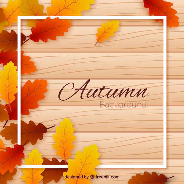 Free Vector autumn background with 