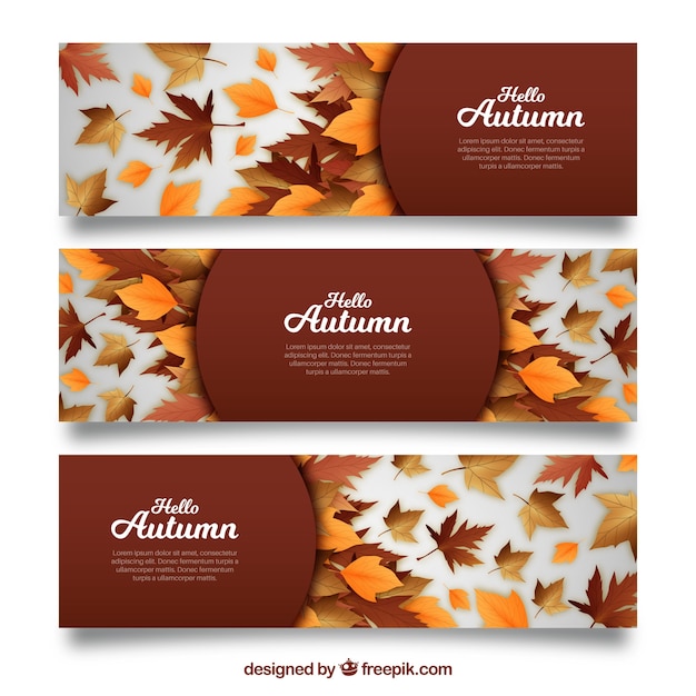 Free vector autumn banner collection with realistic design