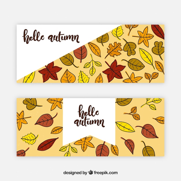 Free Vector autumn banners with hand drawn dried leaves 