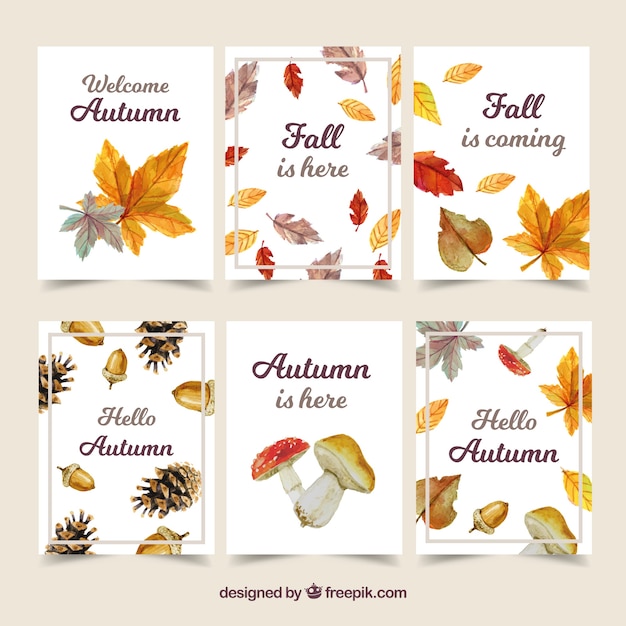 Autumn cards collection with colorful leaves 