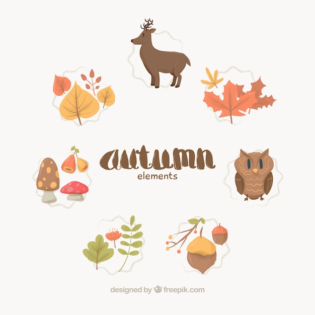 Autumn elements collection