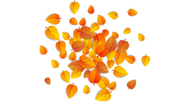 Autumn falling leaves isolated on white background. Autumnal round yellow leaf fall down, Tree foliage and gold leaves. September autumn golden leaf border. Vector illustration eps10