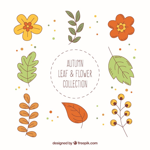 Free Vector autumn floral pack with fun style