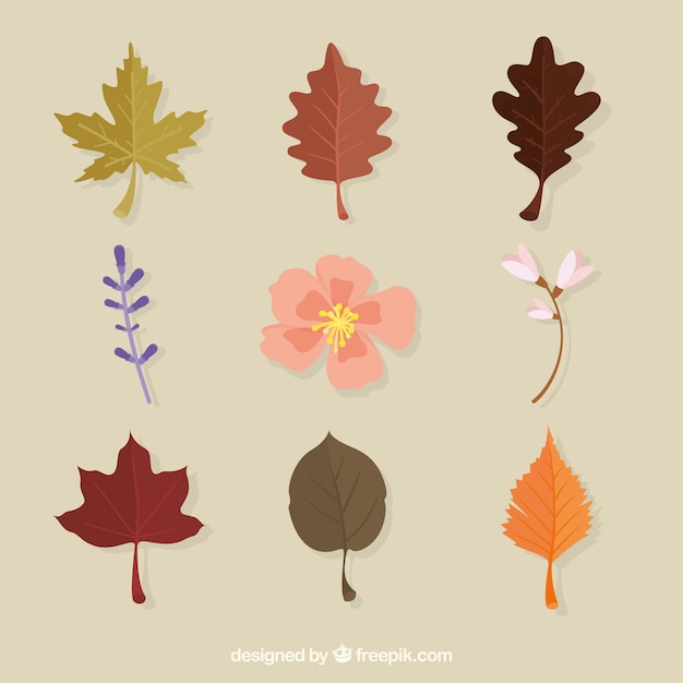 Autumn floral set with flat design