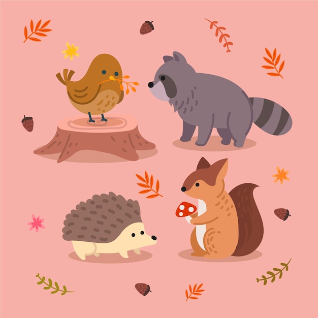 Autumn forest animal collection