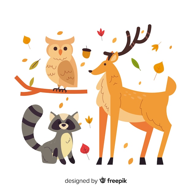 Free Vector autumn forest animals flat design