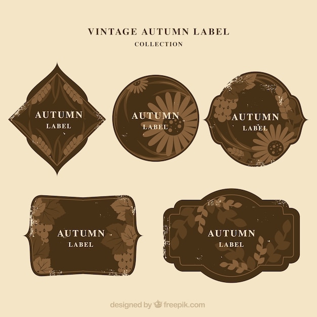 Autumn labels collection in flat style