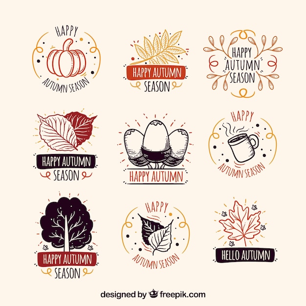 Autumn labels collection with leaves