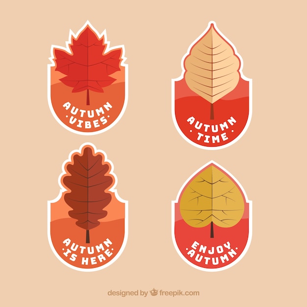 Free vector autumn labels collection