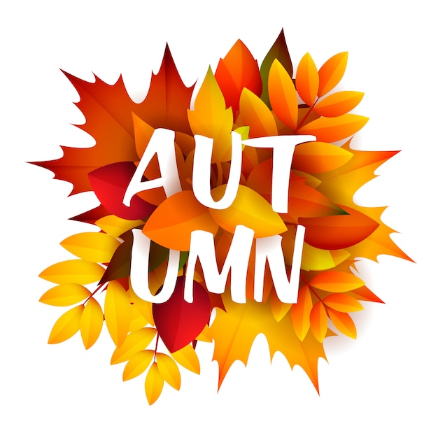 Free vector autumn leaflet with bunch of leaves