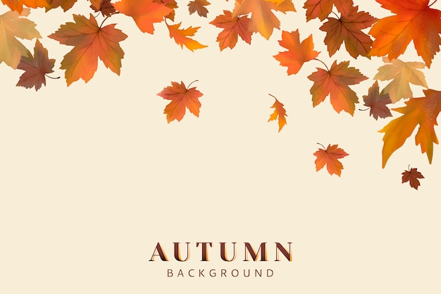 Free Vector autumn leaves background