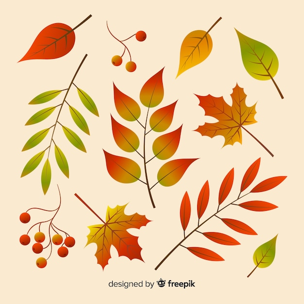 Autumn leaves collection flat design