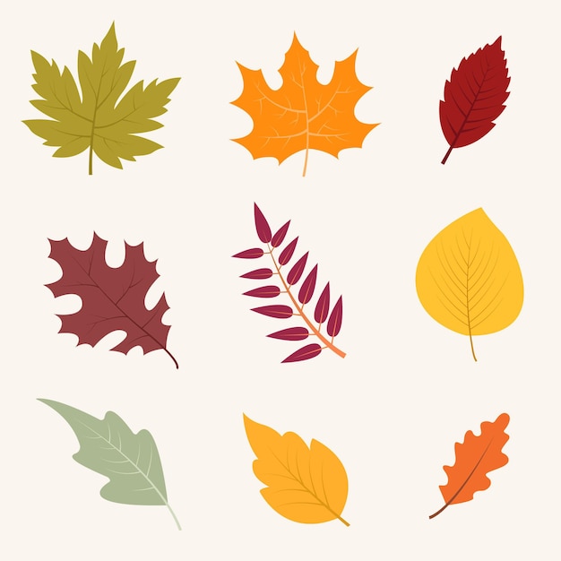 Free Vector autumn leaves collection