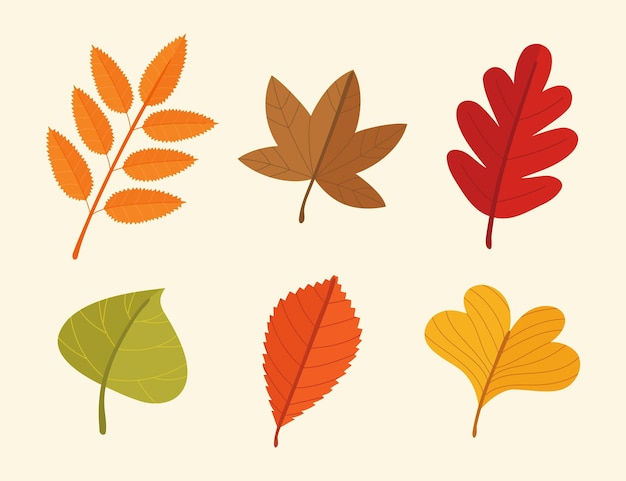 Free vector autumn leaves collection