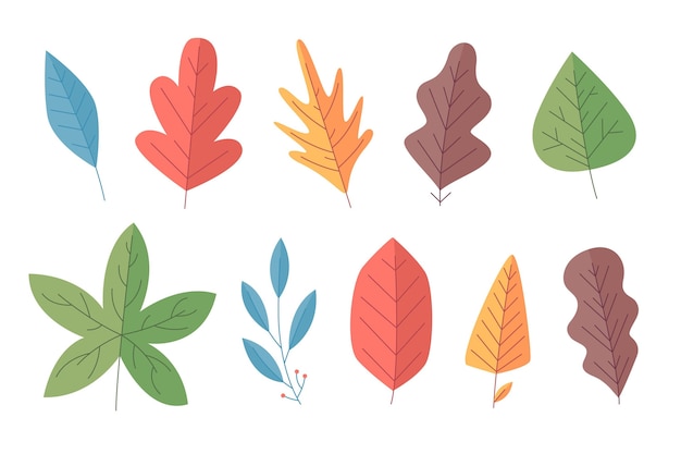 Autumn leaves collection