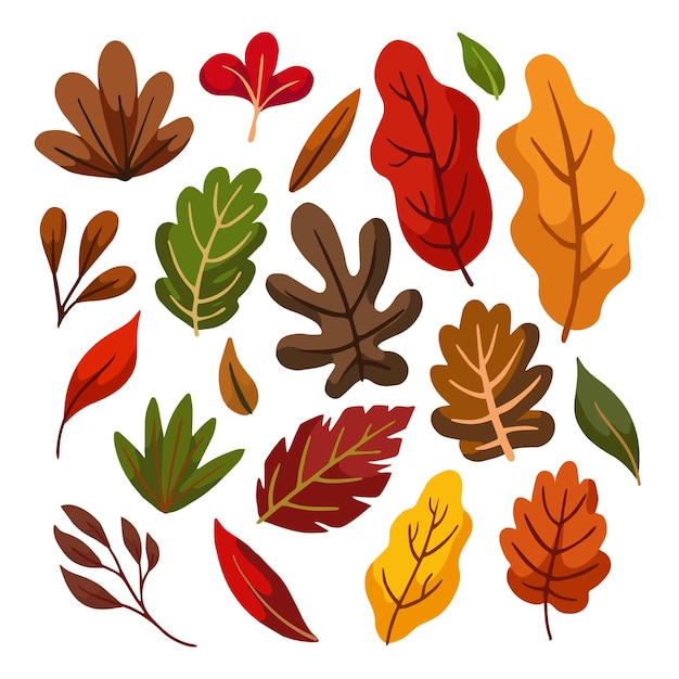 Free vector autumn leaves collection