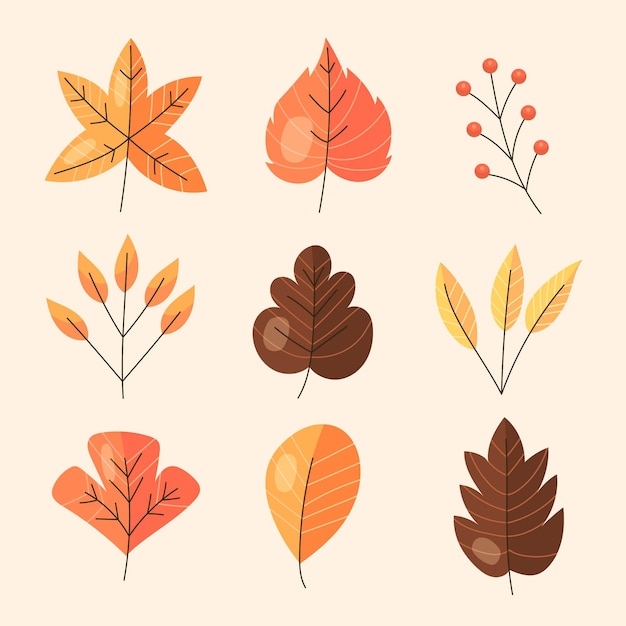 Autumn leaves collection