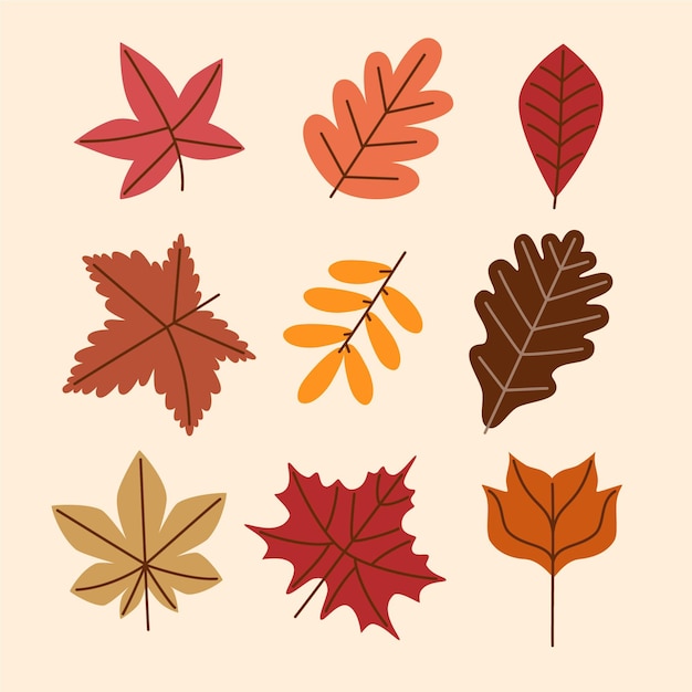 Autumn leaves collection