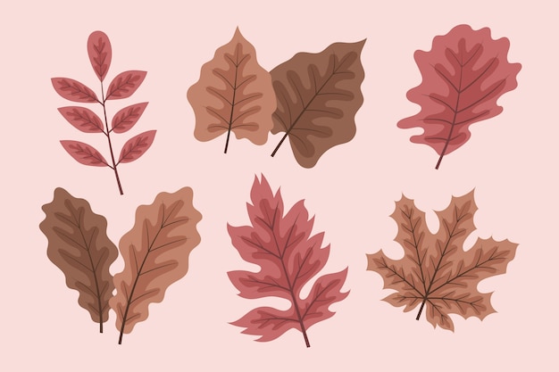 Autumn leaves collection